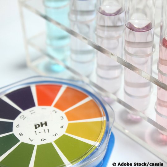 PH-Indikatorstreifen-Farbschlüssel sowie mehrere Reagenzgläser mit Flüssigkeiten, die auf ihren pH-Wert getestet werden.